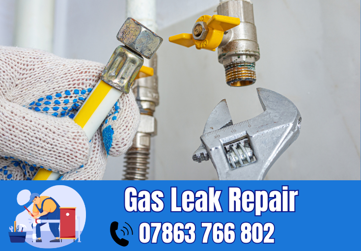 gas leak repair Stockton Heath