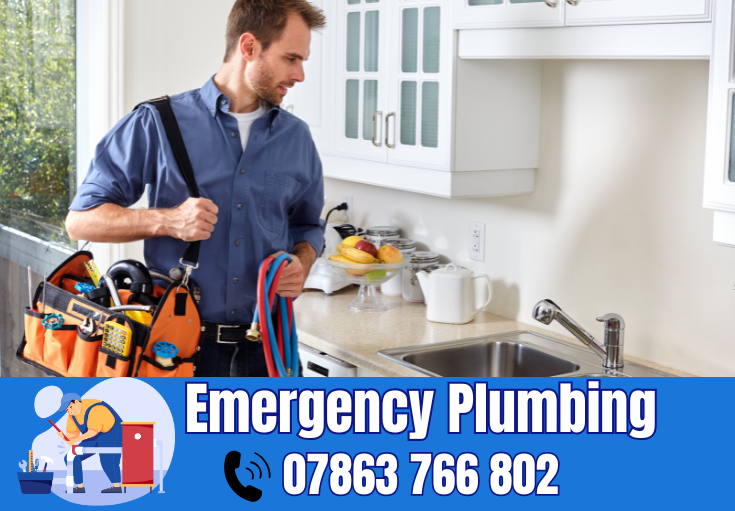  plumber Hillcliffe