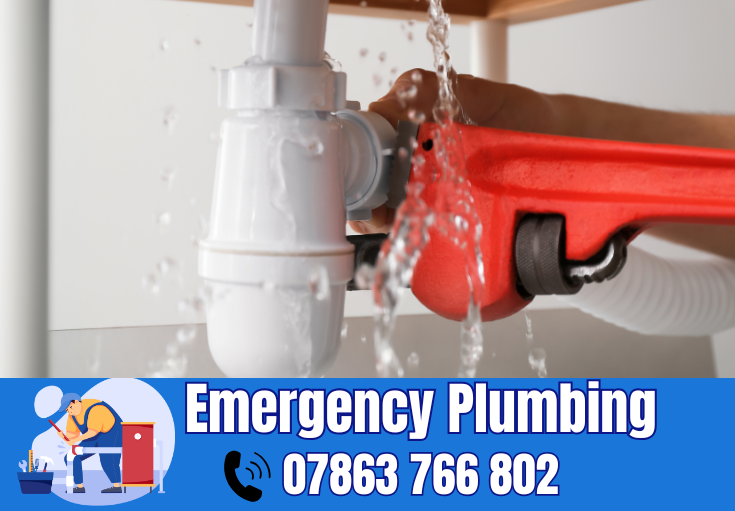  plumber Walton